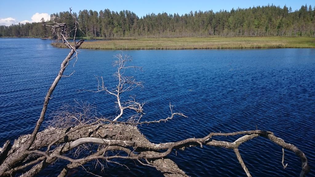 Vakantiehuis Lillstugan I Sverige Βίλα Gustavsstrom Εξωτερικό φωτογραφία